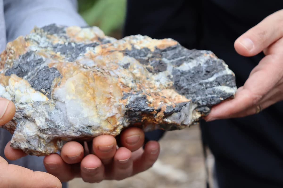 Columbite-tantalite in quartz